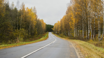 Autumn asphalt road line passing through the forest