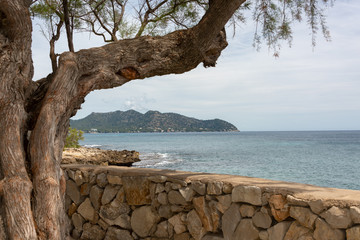 View of the Mediterranean Sea and the hills from the beach promenade in the holiday resort Cala Millor on the Spanish Balearic island of Mallorca in front of a bright blue sky