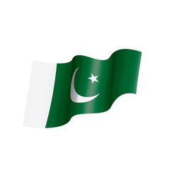 Pakistan flag, vector illustration on a white background