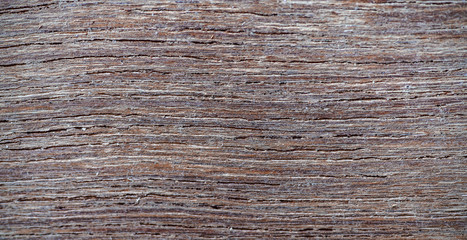 Fototapeta premium Wooden Texture Background Closeup