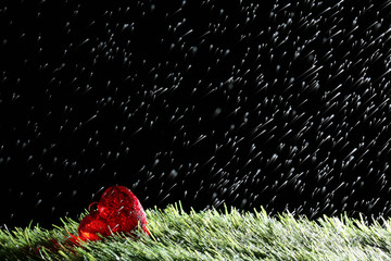 heart on a green lawn in the rain