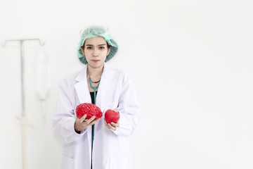 Doctor woman holding stethoscope,red brain model and red heart model on white background.Copy space.