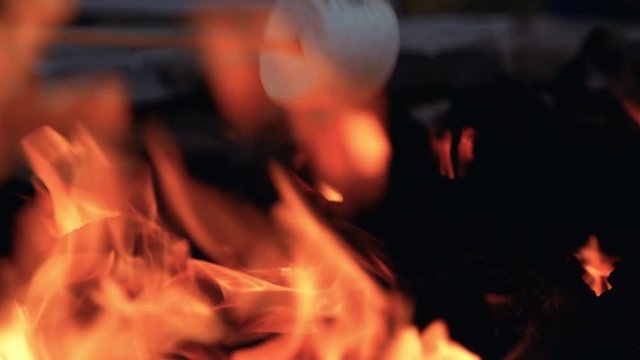 Marshmellow Roasting on Stick in Camp Fire Pit