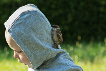 Vogel am Kopf