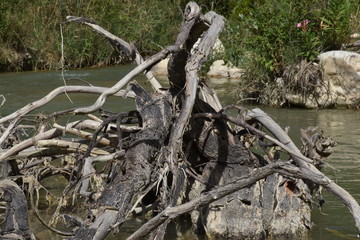 Fiume Sosio, Sicilia