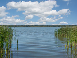am Zierker See in Neustrelitz in der Mecklenburgischen Seenplatte,Mecklenburg-Vorpommern,Deutschland