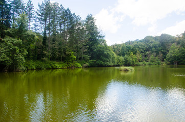 Fototapeta na wymiar Lago Foresta Umbra