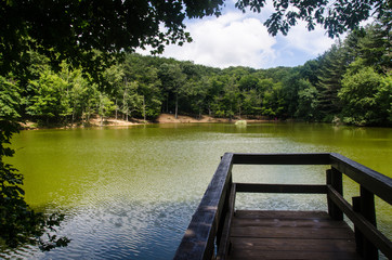 Lago Foresta Umbra