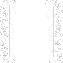 Begonia Flower Outline, Picotee Banner Card Border