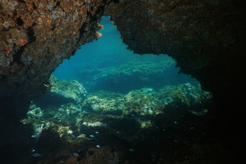 Fototapeta na wymiar Underwater a passage below rocks in the Mediterranean sea, Cabo de Palos, Cartagena, Murcia, Spain