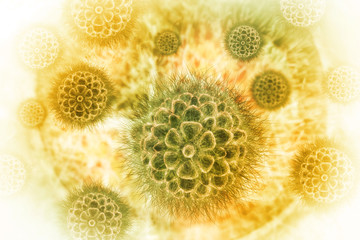 Virus cell on scientific background