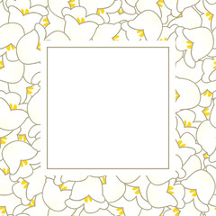 Obraz premium White Lily of the Valley Banner Card.