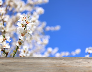 Empty wooden table with beautiful blossoming branch on background