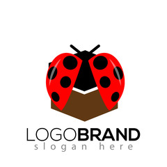 Ladybug box logo icon vector