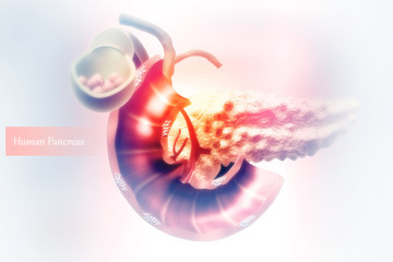 Human Pancreas. 3d illustration - obrazy, fototapety, plakaty