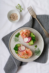 Sandwiches with smoked pink salmon, radish, cucumber and cream cheese on gray ceramic plate and textile background. Traditional Scandinavian toast. Top view.