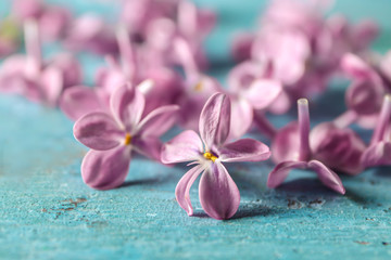 Beautiful lilac flowers on table, closeup