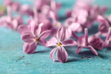 Foto op Plexiglas Turquoise Mooie lila bloemen op tafel, close-up