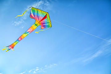 Beautiful kite flying in blue sky