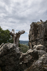 Hanging Rock Landscape