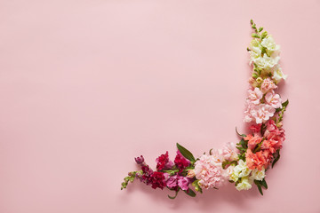 top view of beautiful tender pink, white and red flowers on pink background