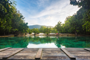 Emerald Pool in Krabi Thailand