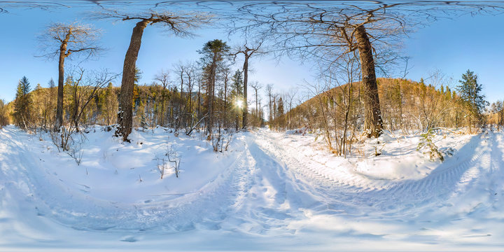 Fototapeta Road in the winter forest at dawn. Spherical 360 VR 180 panorama
