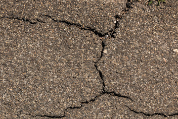 Cracks on the asphalt with growing grass