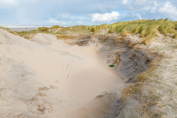 Newly formed Dunes  with deep carved wind holes on Dutch North Sea coast at IJmuiderslag with wind sweeping stripes in the sands