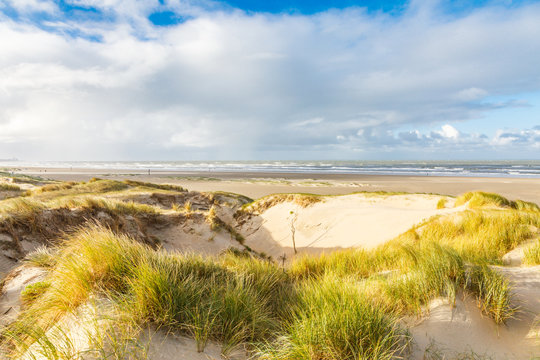 Newly formed Dunes on Dutch North Sea coast at IJmuiderslag with wind sweeping stripes in the sand  against the background of blue sky with scattered clouds