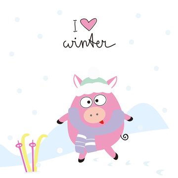 Pig with skis and handwritten text: I love winter. Zodiac chinese symbol of the year 2019. Greeting card. flat vector illustration.