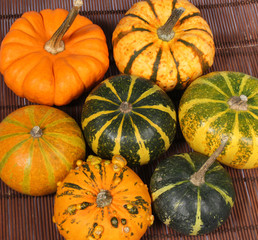 Courges, coloquintes, cucurbitacées