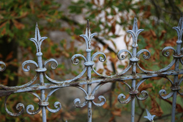 Metal fence / Metal curly fence in the park