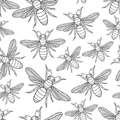Fototapeta premium Vector background from the drawn flies