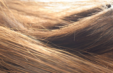 Brunette Haare Nahaufnahme im Gegenlicht 