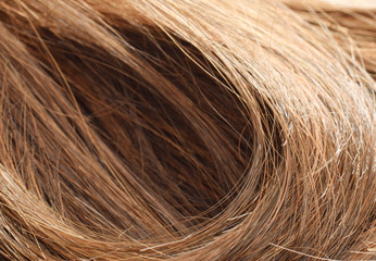 Brown hair background