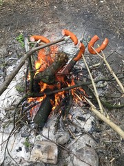 ognisko i kiełbaski