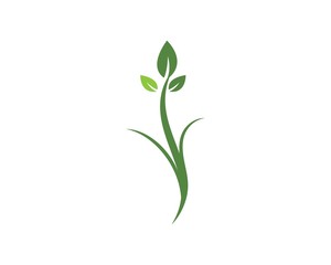 Fototapeta na wymiar green leaf ecology nature element