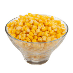 Fresh sweet corn in bowl on white. 