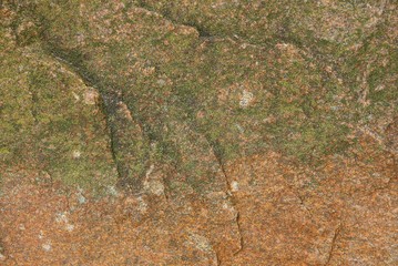 brown green texture of a large rock in the rock