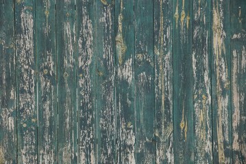 gray green wood background of old boards in a fence