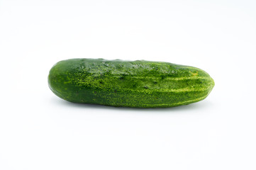 Cucumber