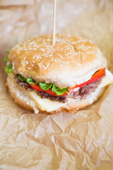Closeup of tasty grilled homemade burger