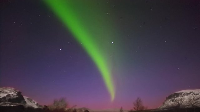 aurora dancing in twilight