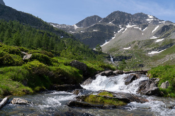 Fototapeta na wymiar Alpine torrent waterfall into the wild nature, between pines, rock and mountains