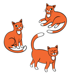 cat/Three red cat.