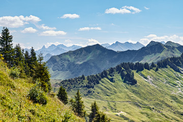 Fototapeta na wymiar Alps Austria