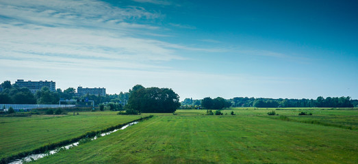 Fototapeta na wymiar Netherlands, South Holland,a view of a lush green field