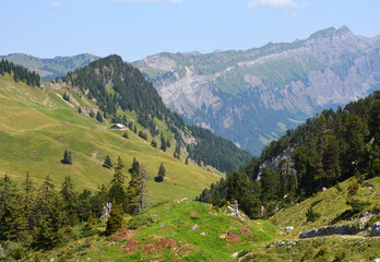 Blick zur Goldplangg, Kanton Schwyz