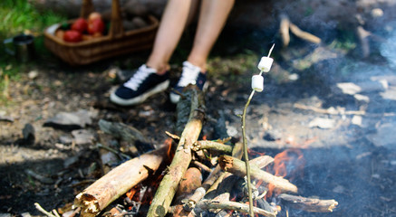 Marshmallows on stick with bonfire and smoke on background. Holding a marshmallow on stick. Roasty, toasty marshmallows are such quintessential taste of picnic. How to roast marshmallows